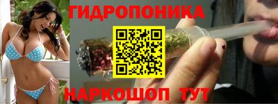 крисы Бузулук
