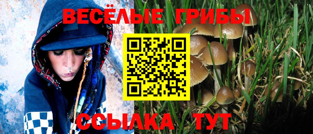 Псилоцибиновые грибы мухоморы Оренбург