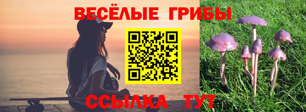 Оренбург  даркнет сайт  Вход с VPN  Галлюциногенные грибы Magic Shrooms 